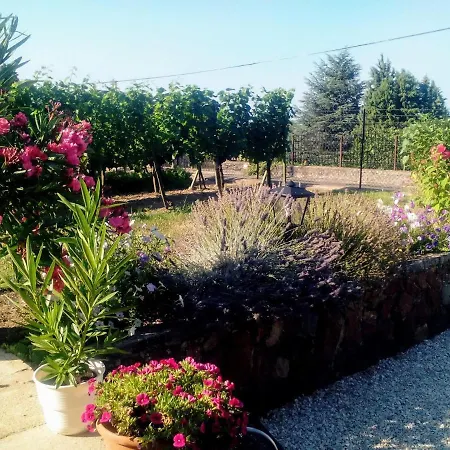 Apartamento Mogyorósi Badacsonytördemic